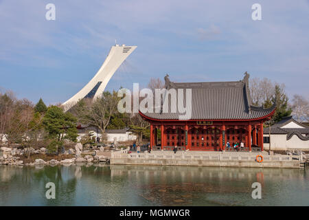 Montreal, CA - 28 April 2018: Chinese Garden of the Montreal Botanical Garden, with Olympic stadium tower in background. Stock Photo
