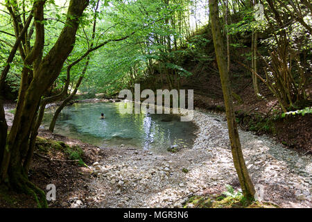 Young boy bathing in natural hot spring pool in the forest, Austria, Maibachl. Stock Photo
