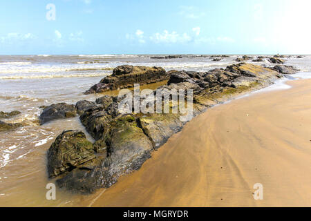 A view of the beach from the famous beaches of Morjim, India. Stock Photo