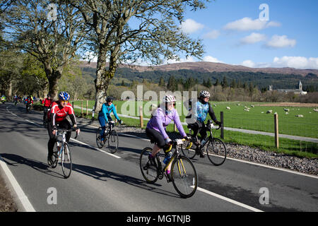 Fort Augustus, Scotland, UK. 29th April, 2018. Cyclists taking part in the Etape Loch Ness closed road cycle sportive following a 360-degree 66-mile / 106-Km route around Loch Ness, Scotland, starting and finishing in Inverness. This event is expected to attract 5,600 cyclists from across Scotland and the UK. Thousands of pounds will be raised by participants for Macmillan Cancer Support, the official event charity. This image shows participants reaching the half way point near Fort Augustus. Cliff Green/Alamy Live News Stock Photo