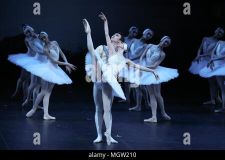 Beijing, China. 29th Apr, 2018. Dancers of the National Ballet of China perform in the ballet classic 'Swan Lake' to commemorate the 60th anniversary of its debut in China at the National Centre for the Performing Arts in Beijing, capital of China, April 29, 2018. Credit: Zheng Huansong/Xinhua/Alamy Live News Stock Photo