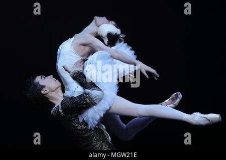 Beijing, China. 29th Apr, 2018. Dancers of the National Ballet of China perform in the ballet classic 'Swan Lake' to commemorate the 60th anniversary of its debut in China at the National Centre for the Performing Arts in Beijing, capital of China, April 29, 2018. Credit: Zheng Huansong/Xinhua/Alamy Live News Stock Photo