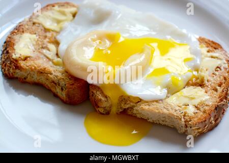 Perfect runny poached egg on brown seeded toast Stock Photo