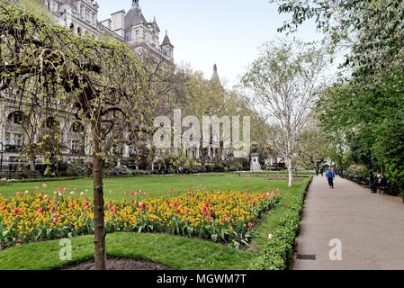 Whitehall Gardens in springtime on the Victoria embankment Central London England UK Stock Photo