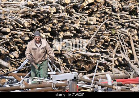 Plant for exploitation of biomass (wood waste) to produce electricity ...