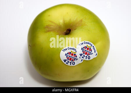 Bramley cooking apples Stock Photo