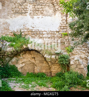 Ancient immured arch covered with plants, within old sandstone wall in Old Jaffa, Israel Stock Photo