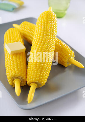 Steamed corn cobs on a plate Stock Photo