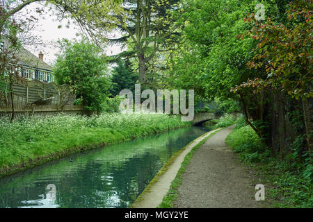 The New River at Woodberry Down, North London UK Stock Photo