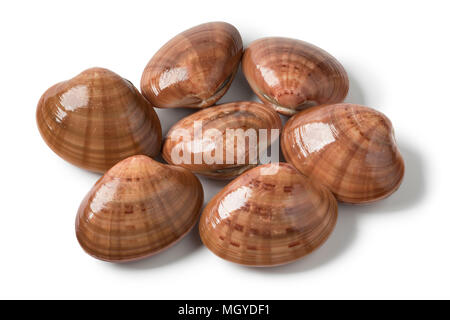 Heap of fresh raw closed smooth clams on white background Stock Photo