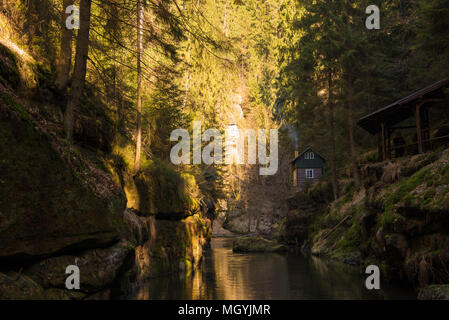 The singular house in the middle of the forest Stock Photo