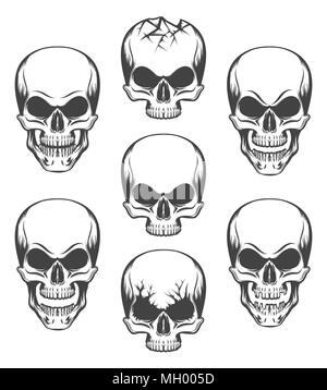 Human skulls set drawn in engraving style. Vector illustration. Stock Vector