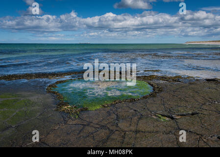 Rockpool, Bamburgh Beach, Northumberland, UK. Stock Photo