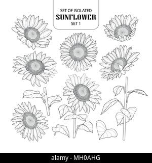 Set of isolated sunflower set 1. Cute hand drawn vector illustration in black outline and white plane on white background. Stock Vector