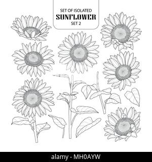 Set of isolated sunflower set 2. Cute hand drawn vector illustration in black outline and white plane on white background. Stock Vector