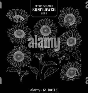 Set of isolated sunflower set 2. Cute hand drawn vector illustration only white outline on black background. Stock Vector