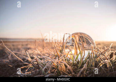 Crystal ball in frozen grass in the sunrise on a winter morning Stock Photo