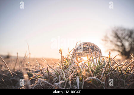 Glass orb lighting up in the sunrise on frozen grass in the winter Stock Photo