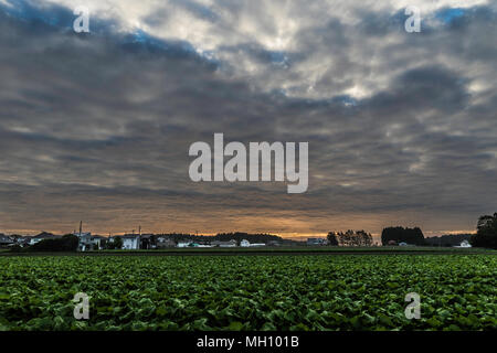 Sunrise over Northern Japan on a cloudy day Stock Photo