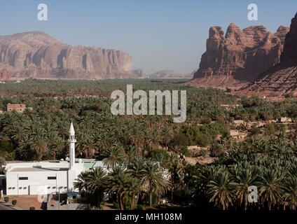 Elevated view of al-ula old town and oasis, Al Madinah Province, Al-Ula, Saudi Arabia Stock Photo