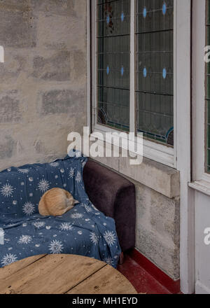 A cat curled up on a couch on the back porch with leaded glass window Stock Photo