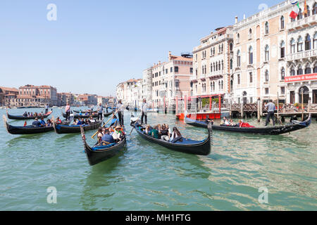 Several gondolas with tourists enjoying a sightseeing tour of the city on the Grand Canal at St Marks Basin,  Venice, Veneto, Italy Stock Photo