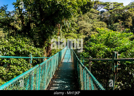 Hanging Bridges in Cloudforest - Monteverde, Costa Rica Stock Photo