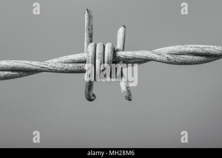 Close up of Barbed Wire Stock Photo