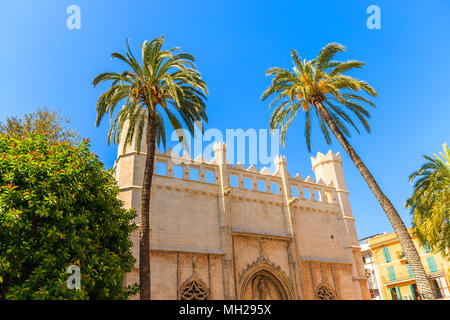 Gate and palm tree of historic building in old town of Palma de Majorca, Spain Stock Photo