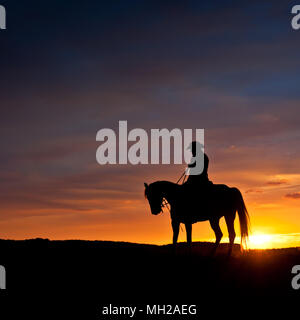 lonely rider in the evening light, Silhouette - horse and rider Stock Photo