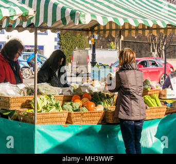 Woman buying vegetables at Phantassie outdoor market stall, Haddington Farmers Market, Place d'Aubigny, Court Street, East Lothian, UK on sunny Winter day Stock Photo