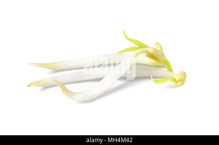 bean sprouts, soybean sprouts on a white background Stock Photo