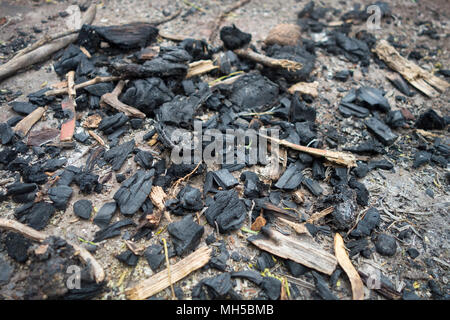 park night camp fire remains in the morning Stock Photo