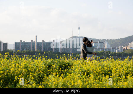 Couple  taking selfie with yellow  Canola flowers field in Han river. Stock Photo