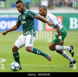 SÃO PAULO, SP - 29.04.2018: PALMEIRAS X CHAPECOENSE - The player Borja, from SE Palmeiras, plays the ball with player Amaral, A Chapecoense F, during a match valid for the third round of the Brazilian Championship, Series A, at the Allianz Parque Arena. (Photo: Cesar Greco/Fotoarena) Stock Photo