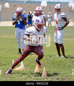 pinellas county spring football games 2018 pinellas county spring football games 2018