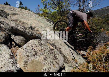 Idyllwild, California, USA. 29th Apr, 2018. Mountain biker rides steep trails past huge granite rock slabs and pine tress at elevations above 6,500ft high above the desert floor near Idyllwild in the San Jacinto Mountains. Rising abruptly from the desert floor, the Santa Rosa and San Jacinto Mountains National Monument reaches an elevation of 10,834 feet, the northernmost of the Peninsular Ranges system. Many flora and fauna species within the national monument are state and federal listed threatened or endangered species, including the Peninsular Bighorn Sheep (Ovis canadensis cremnobates), Stock Photo