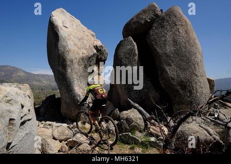 Idyllwild, California, USA. 29th Apr, 2018. Mountain biker rides steep trails past wildflowers, huge granite rock slabs and pine tress at elevations above 6,500ft high above the desert floor near Idyllwild in the San Jacinto Mountains. Rising abruptly from the desert floor, the Santa Rosa and San Jacinto Mountains National Monument reaches an elevation of 10,834 feet, the northernmost of the Peninsular Ranges system. Many flora and fauna species within the national monument are state and federal listed threatened or endangered species, including the Peninsular Bighorn Sheep (Ovis canadensis c Stock Photo