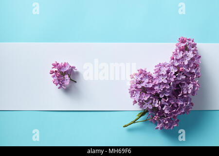 Sprigs of purple lilac with paper card note on light blue background. Copy space. Stock Photo