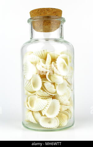souvenir bottle with cockle shells isolated on a white background, souvenir from the sea Stock Photo