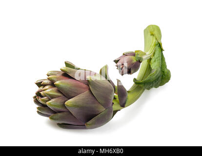two fresh artichokes isolated on white background Stock Photo