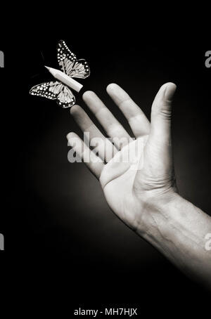 Male hand trying to catch a butterfly with a pencil as body Stock
