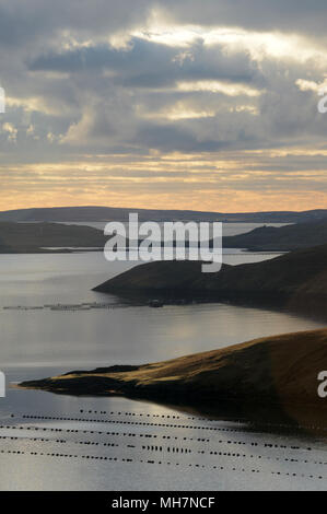 Landscape with mussel farms and salmon cages in the early morning light Stock Photo