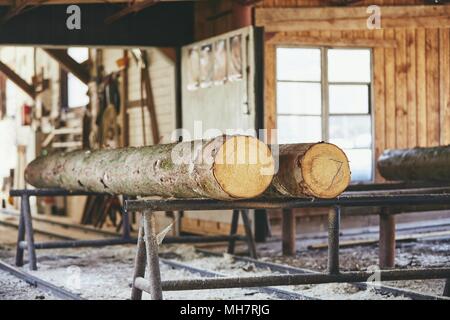 Lumber industry. Trunks of trees prepared for cutting at the sawmill. Stock Photo