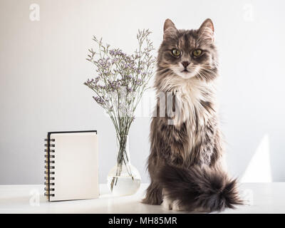 Charming kitten, sketchbook with a blank page and Easter eggs painted