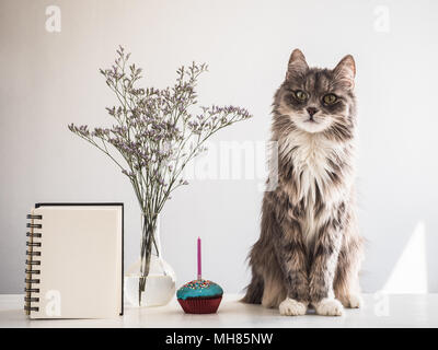 Charming kitten, sketchbook with a blank page and Easter eggs painted