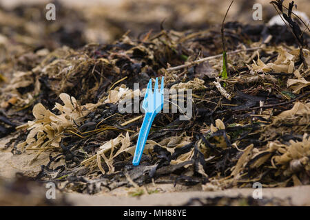 Plastic single use  takeaway fork amongst seaweed washed up on Harlech beach in West Wales UK Stock Photo