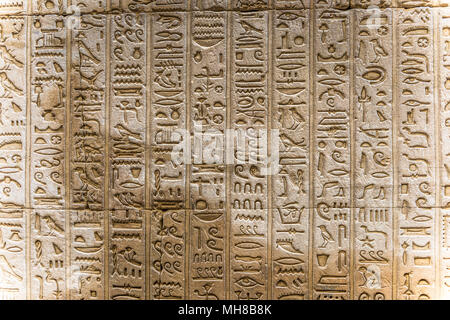 Well Preserved Ancient Real Egyptian Hieroglyphs On The Wall In A 
