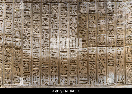 Well preserved Ancient real Egyptian hieroglyphs on the wall in a ...