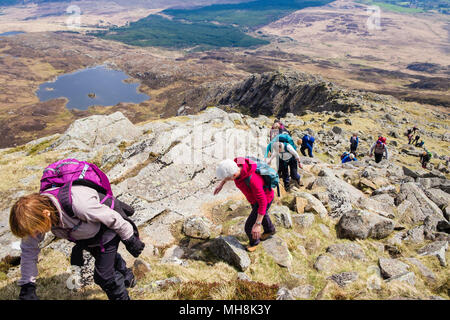 Hikers climbing on Daear Ddu east ridge on Carnedd Moel Siabod mountain in mountains of Snowdonia National Park. Wales, UK, Britain Stock Photo